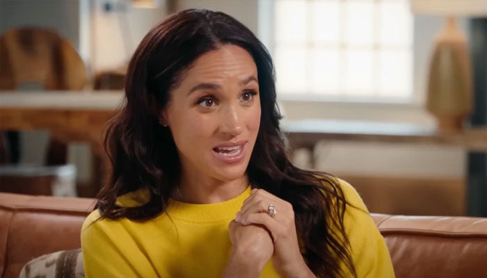 Expert questions Meghan Markle’s intentions and unexpected but emerging role