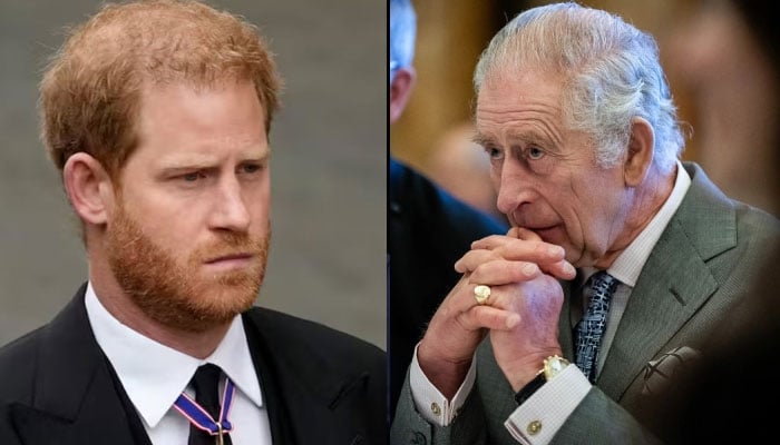 Prince Harry’s plans for reconciliation ‘hit a snag’