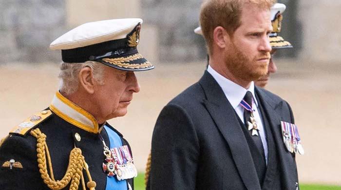 Prince Harry major demands before meeting King Charles