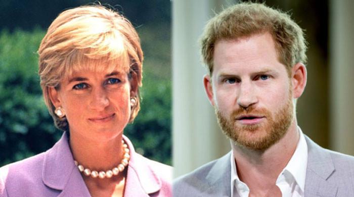 Royal Expert reveals truth about Prince Harry’s rumoured Diana documentary Royal Expert reveals truth about Prince Harry’s rumoured Diana documentary