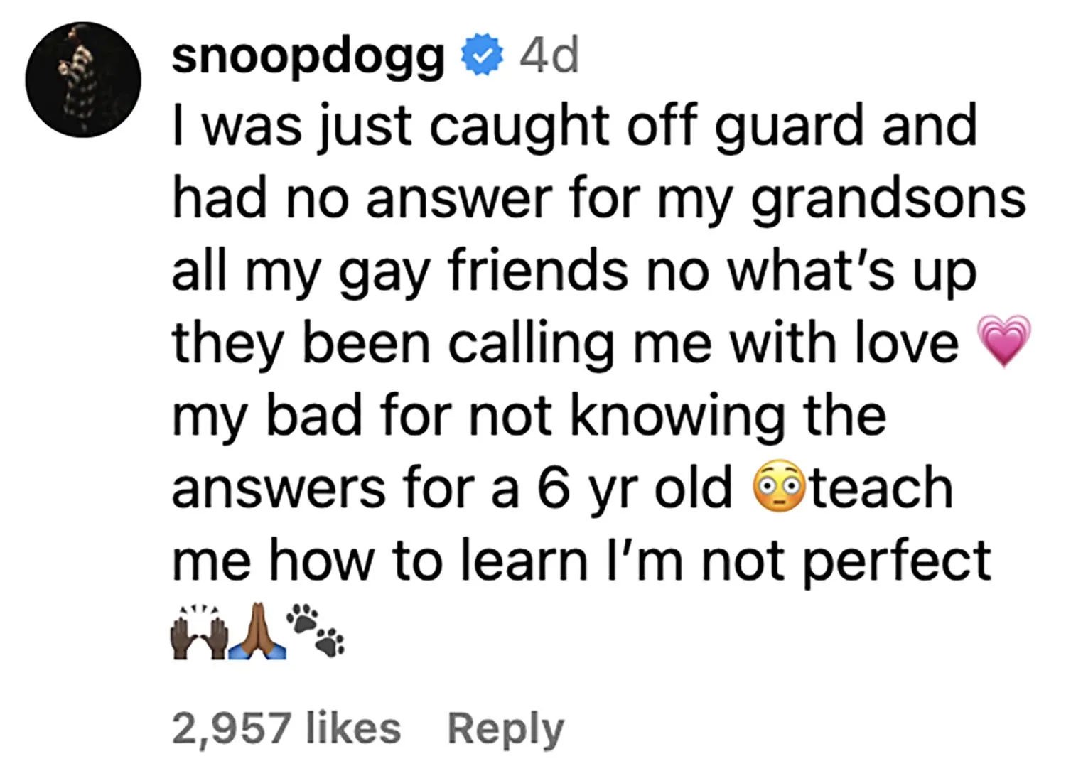 Snoop Dogg responds after comments on kids films spark outrage
