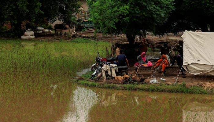 Residents sit outside a makeshift tent beside flooded field, following monsoon rains and rising water levels of the Chenab River, in Patraki village, Chiniot district of Punjab, August 30, 2025. — Reuters