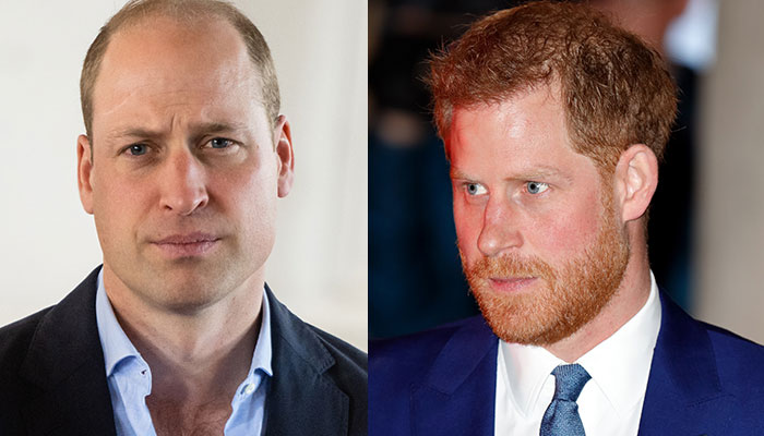 Prince Harry and Prince William’s meeting on the rocks