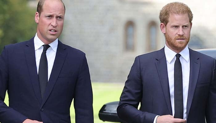 Prince Harry to go down a path Prince William firmly close 10 years ago: ‘Itll antagonize!