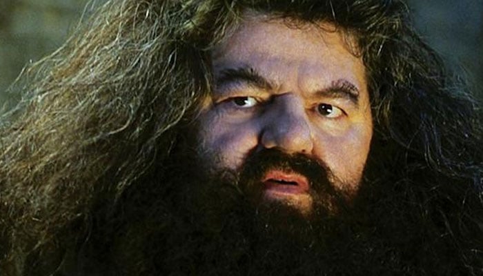 Another Rubeus Hagrid has been cast