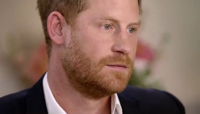 Prince Harry’s priority for the UK peace talks comes to light