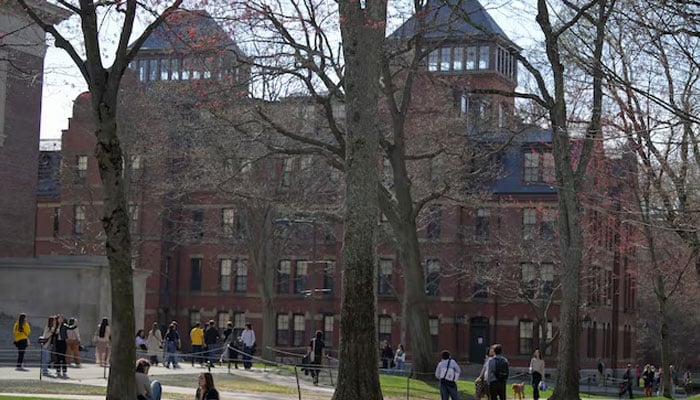 Students gather on the campus of Harvard University in Cambridge, Massachusetts, U.S., April 15, 2025. — Reuters
