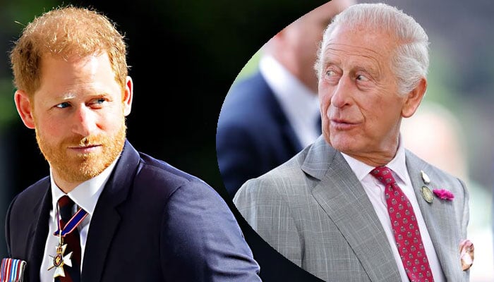 King Charles’ treatment of Prince Harry may wind up becoming ‘just like’ Diana