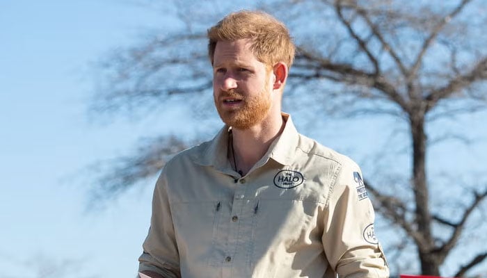 Prince Harry likely has visa that lets him stay in America for life