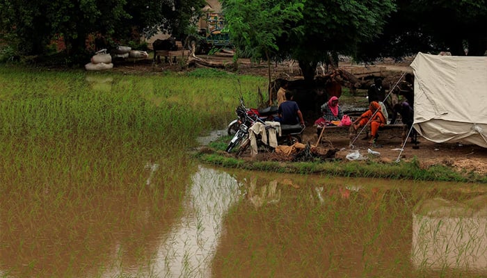 Residents sit outside a makeshift tent beside flooded field, following monsoon rains and rising water levels of the Chenab River, in Patraki village, Chiniot district, Punjab province, August 30, 2025. — Reuters