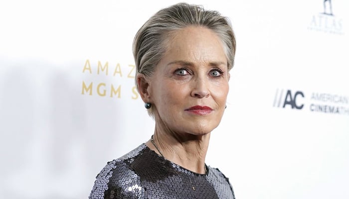 Sharon Stone shares rare glimpse of her sunny boat outing