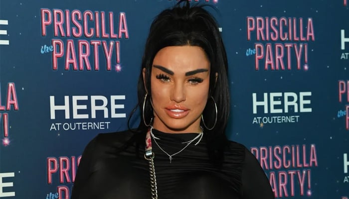 Katie Price celebrates chart success amid feud with exes: Report