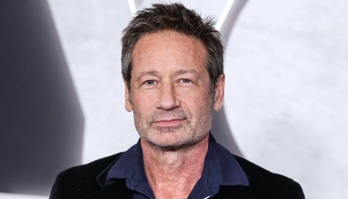 Photo: David Duchovny opens new creative chapter