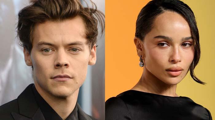 Harry Styles' new lover Zoe Kravitz 'stands apart'