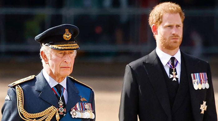 King Charles and Prince Harry meeting speculation
