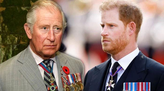 King Charles and Prince Harry potential meeting