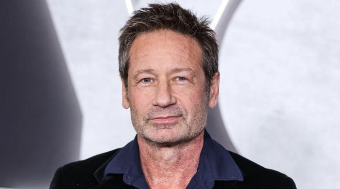 David Duchovny unveils his take on poetry