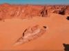 How did a fish end up in Saudi Arabia's AlUla's desert?