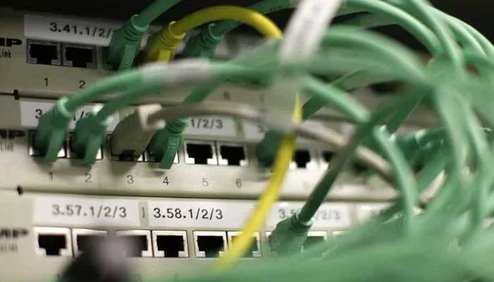 Ethernet cables used for internet connections are pictured in a office — Reuters/File