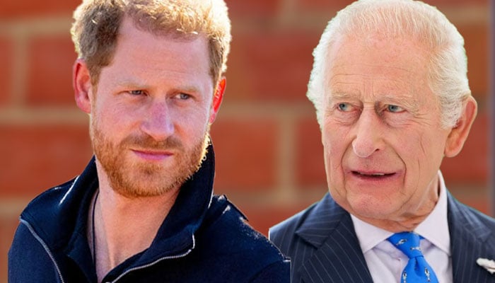 Prince Harry has just been handed advice about his future chances with King Charles