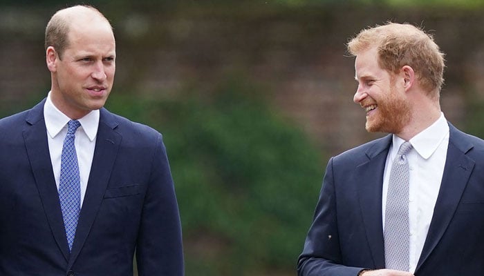 Prince Harry’s latest gesture signals hope for reconciliation with Prince William