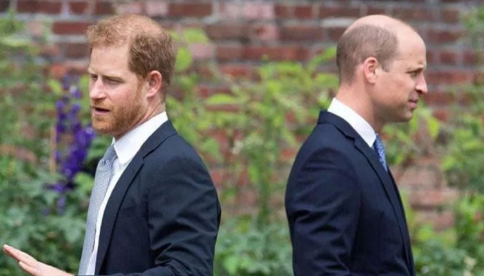 Prince Harry, Prince William’s strained relationship shows no signs of easing