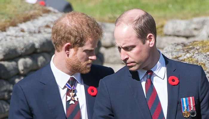 Prince William chooses not to meet Prince Harry on his UK visit?