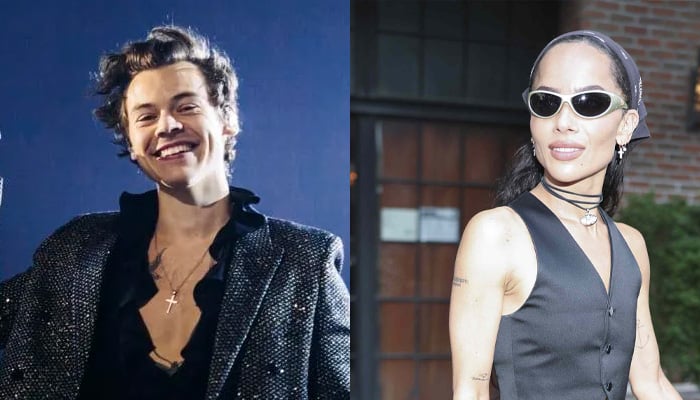 Harry Styles and Zoë Kravitz seen in rare outing as romance intensifies