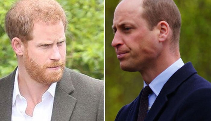 Prince William puts ‘family above all’ against Prince Harry?