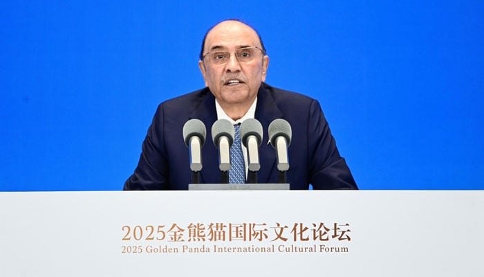 President Asif Ali Zardari addressing the Second Golden Panda Awards International Culture Forum in China on September 13, 2025. — PID