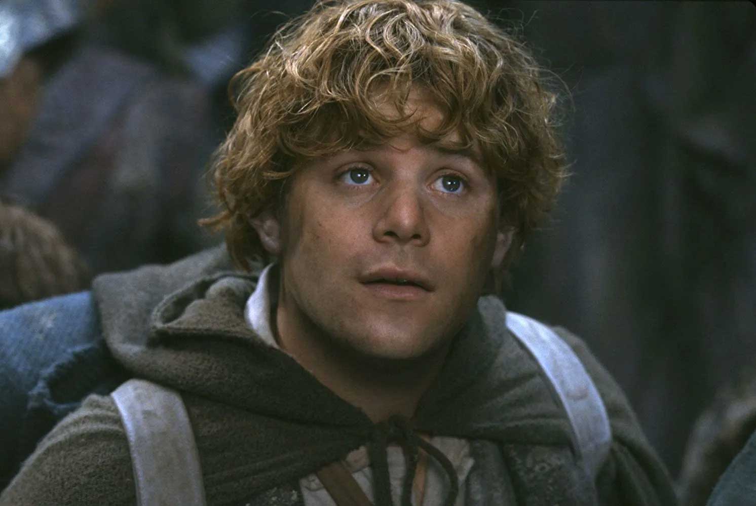 Sean Astin in The Lord of The Rings