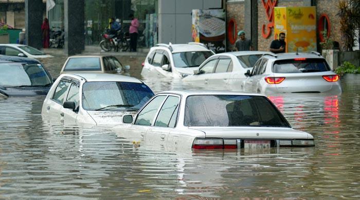 Ignorance and the world