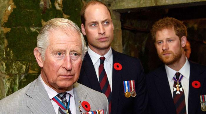 King Charles, Prince Harry and Prince William reunion