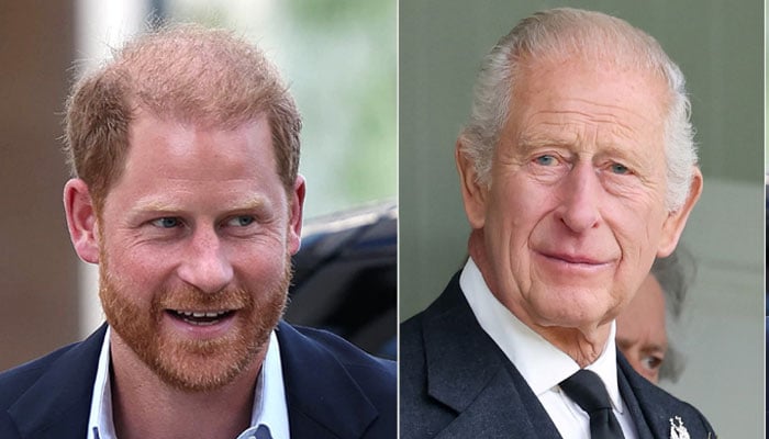 Inside Prince Harry and King Charles resolution after royal rift