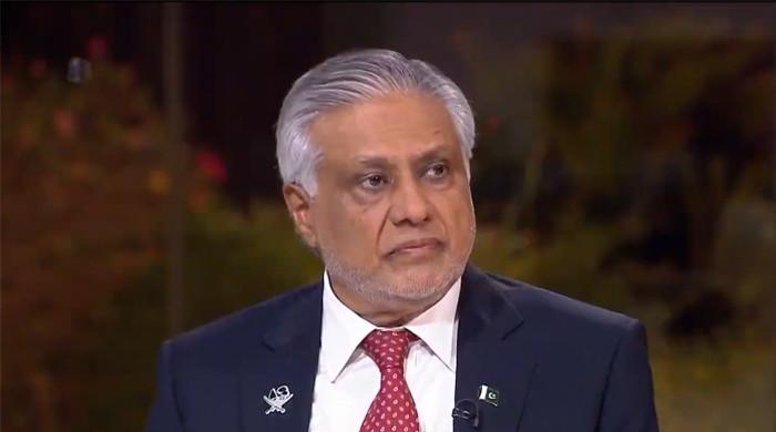 'World must act to stop Israel': Pakistan calls for action against escalating aggression