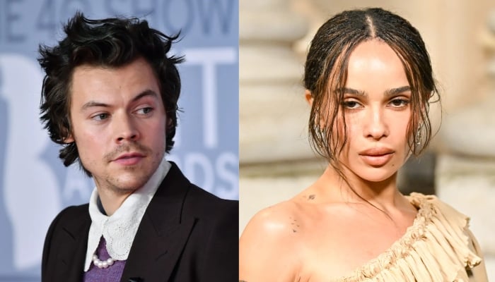 Photo: Zoe Kravitz sees Harry Styles as the man of her dreams post Channing Tatum split: Source