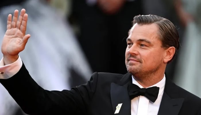 Photo: Leonardo DiCaprio wanted to skip Titanic for THIS role