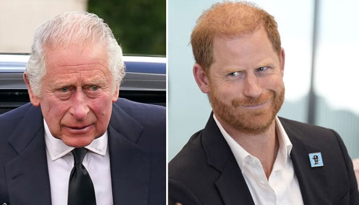 Prince Harry digs the hole deeper with his ‘big’ mouth