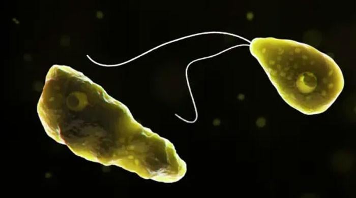 India health alert after deadly 'brain-eating' amoeba rise