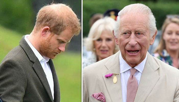 Prince Harry has gone on his hands and knees with King Charles to stop Donald Trump