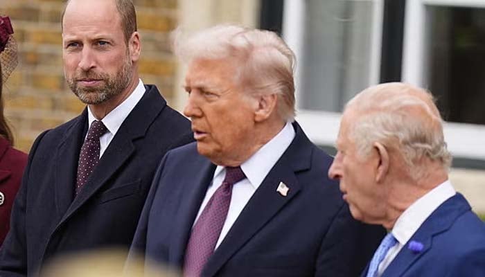 Donald Trump sparks royal protocol debate after touching King Charles, Prince William