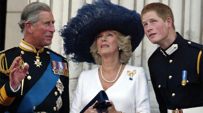 Prince Harry leaves King Charles in 'tricky position' regarding William, Queen Camilla