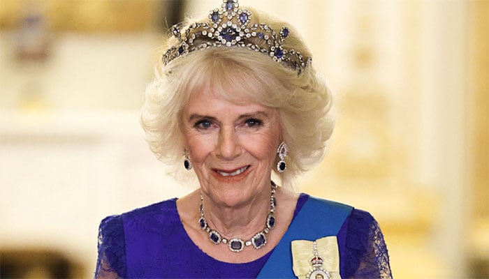 Queen Camilla shares major health update after acute sinusitis