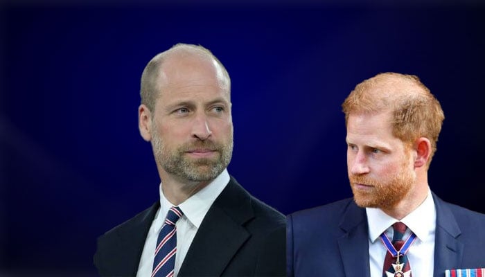 Prince Harry’s ‘second son syndrome’ brings royal woes to the surface