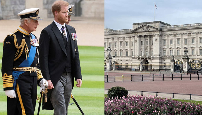 Prince Harry sparks concern at Palace