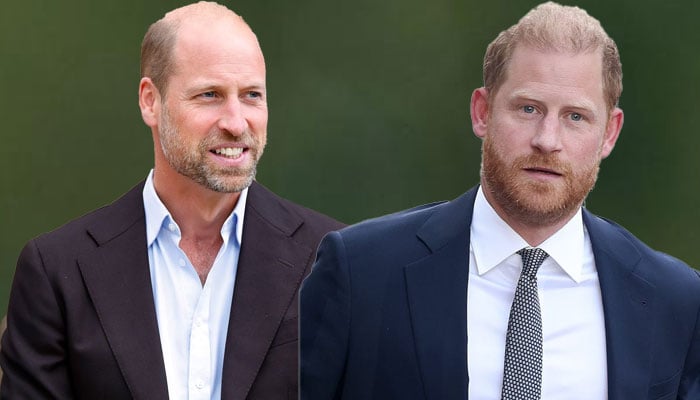 Prince William handed a desperate message from Prince Harry