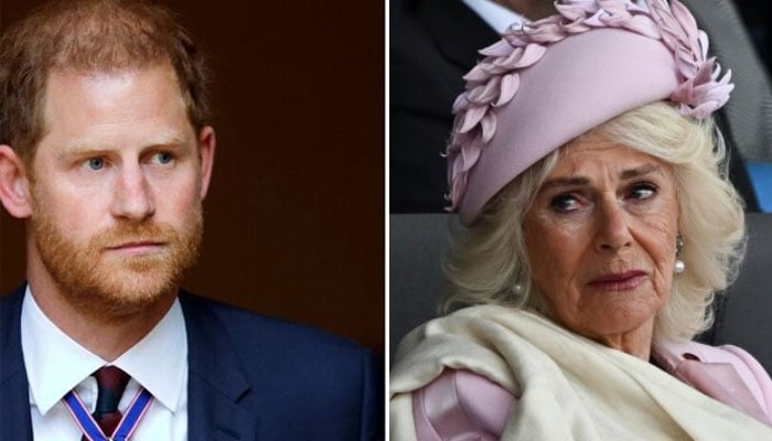 Queen Camilla livid and on edge as Prince Harry finds his way back to King Charles