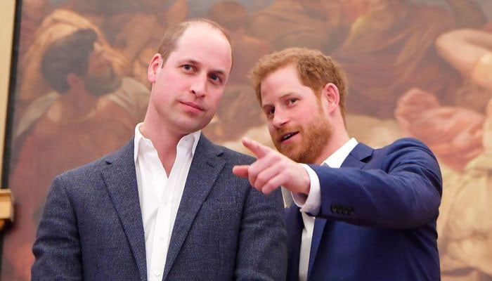 Prince Harry’s heartwarming memory from childhood with Princess Diana, William