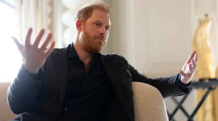 Prince Harry fights for funding against political choices