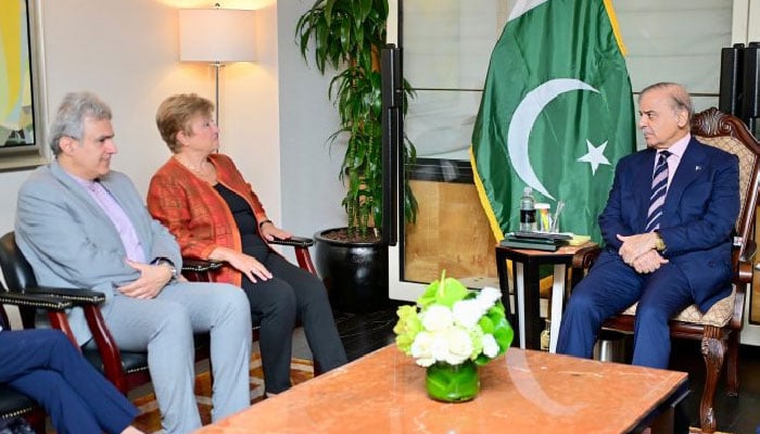 Prime Minister Shehbaz Sharif meets IMF Managing Director Kristalina Georgieva on UNGA sidelines, September 24, 2025. — APP